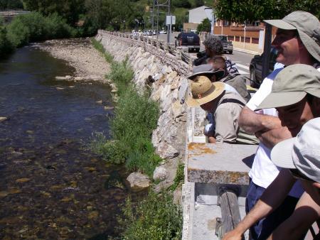 Re: ¡¡Toca limpiar!!